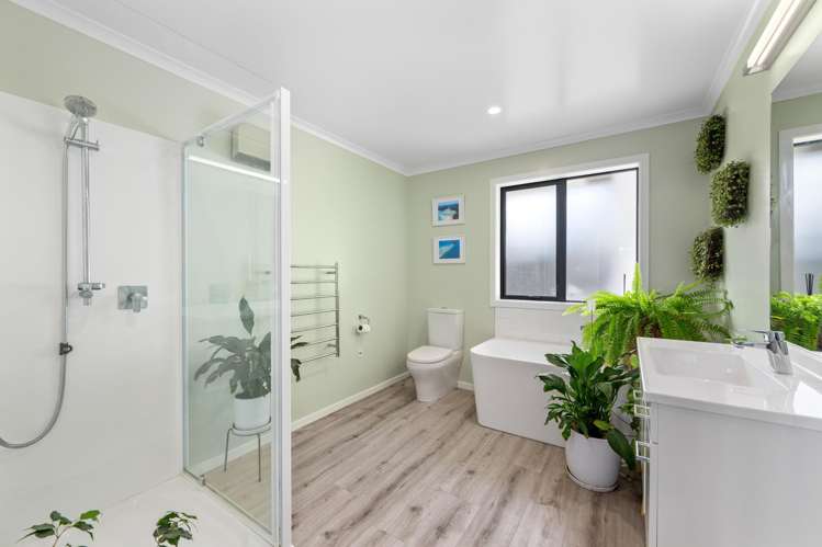 84B Alma Street Renwick_10