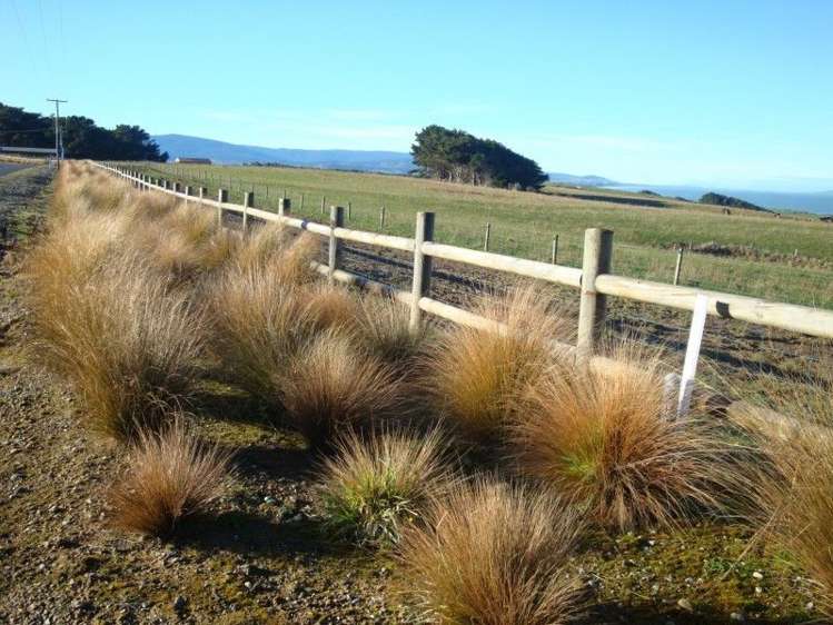 61 The Cliffs Tuatapere_11