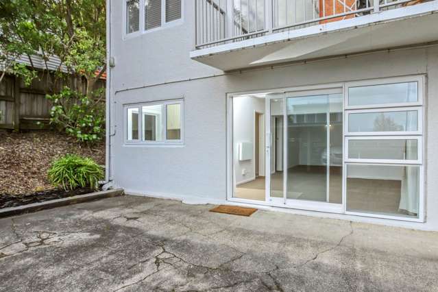 9b Emmett Street Herne Bay_1