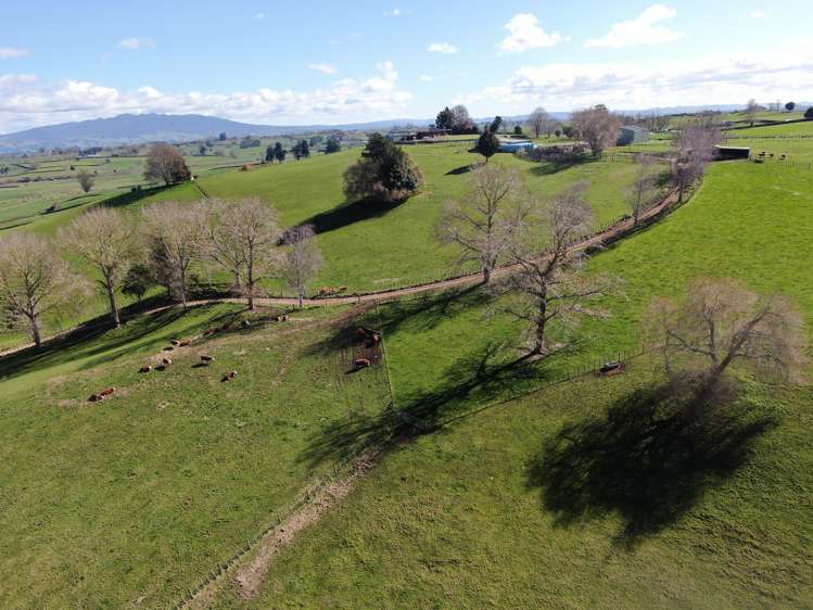 2/4798 Ohaupo Road Te Awamutu_34