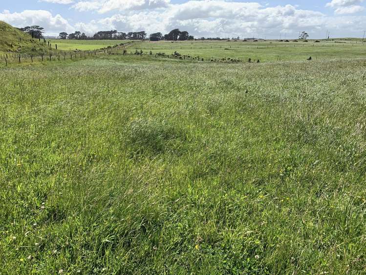 2372 Opunake Road Awatuna_20