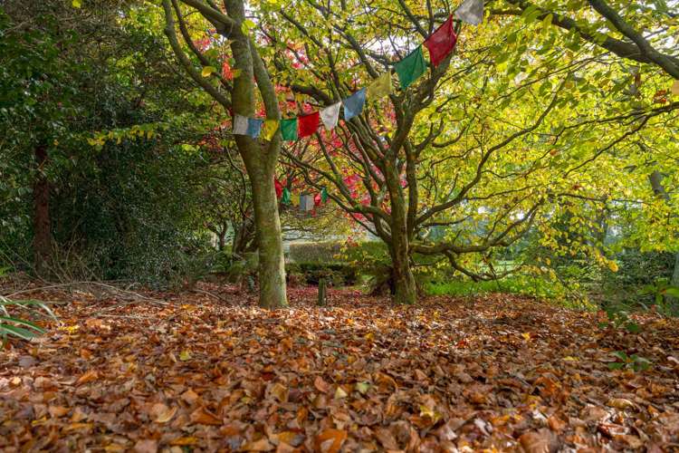 175 Forest Road Oruanui_30