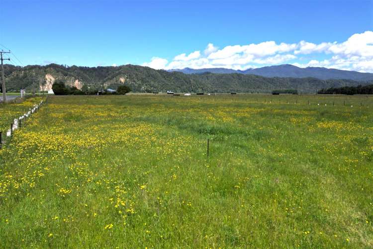 Gannon's Road Reefton_12