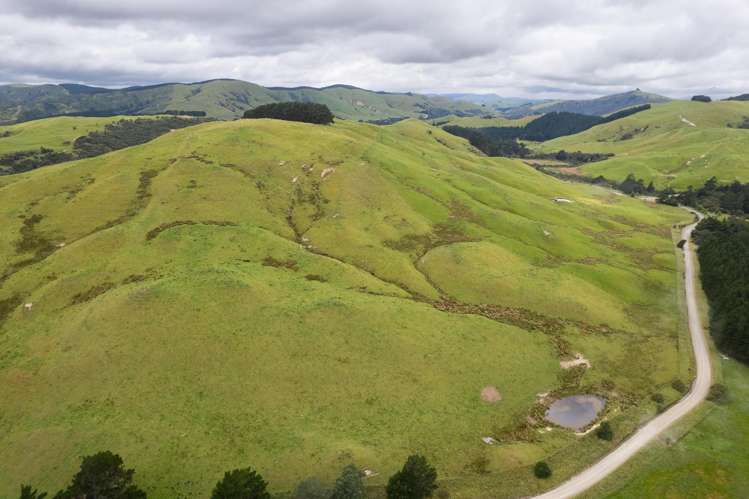 83 Towai Road Dannevirke_20