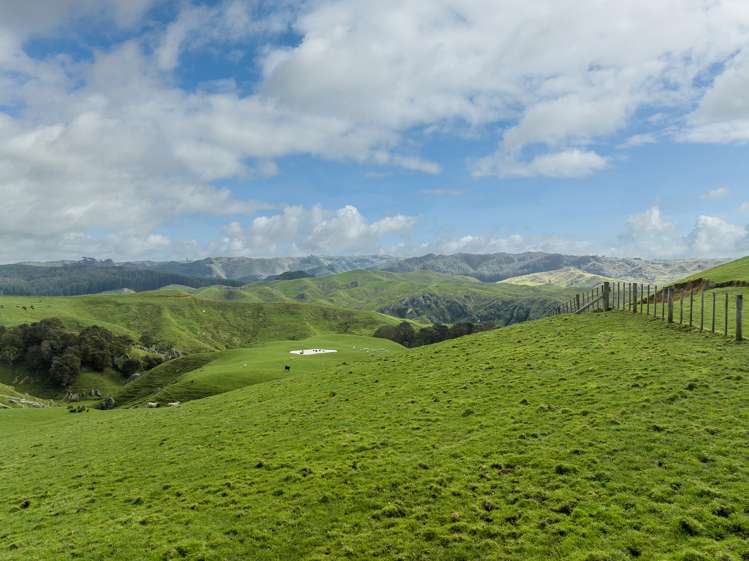 420 Ponganui Road Onewhero_17