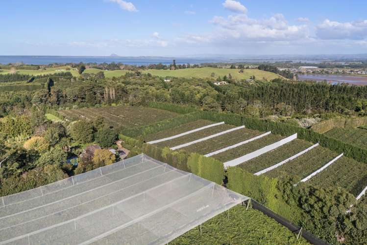 416 State Highway 2 Katikati_16