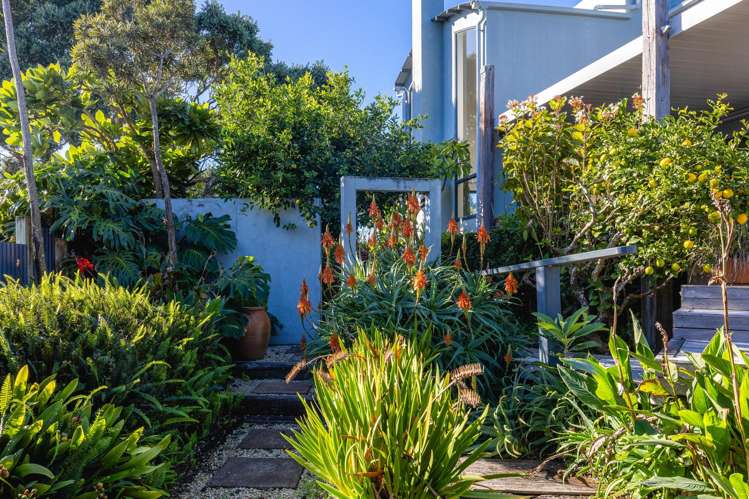 3 Tawa Street Oneroa_24