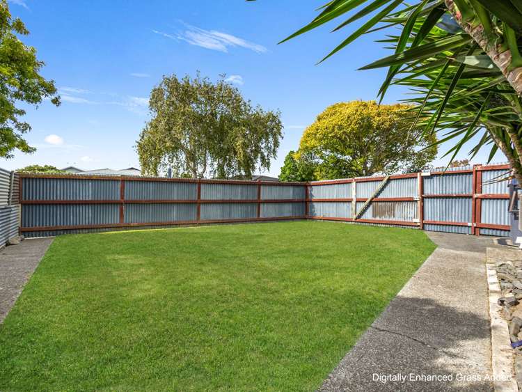 56 Alexander Avenue Onekawa_20