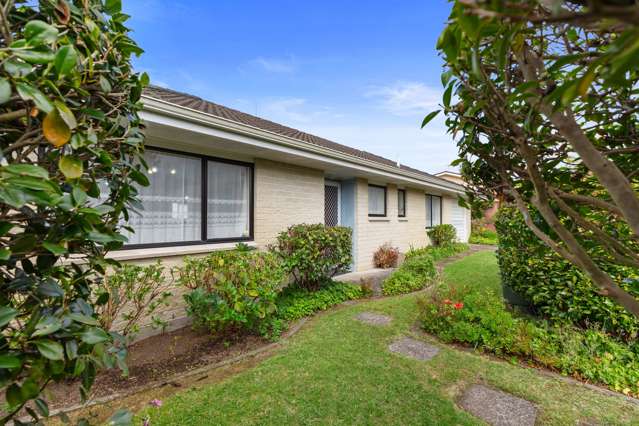 10a Norrie Street Te Puke_2