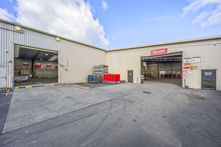 6 Tawa Drive Albany_5