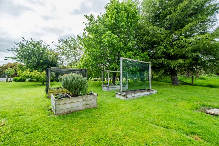 278 Talbot Street Geraldine_18