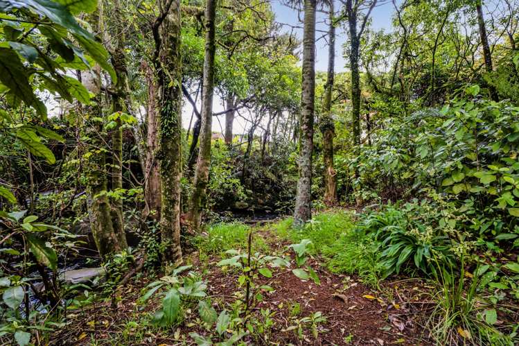 65 Rata Street Inglewood_18