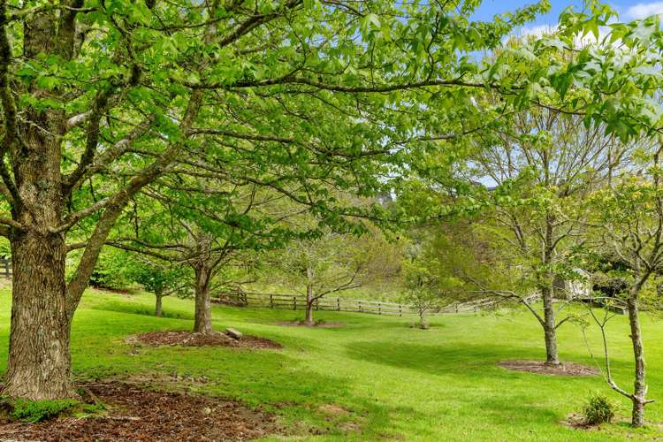 227 Glenmore Road Coatesville_20