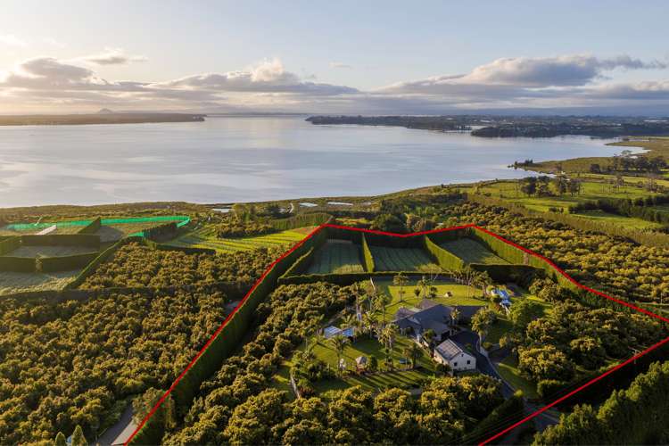 265 Athenree Road Athenree_18