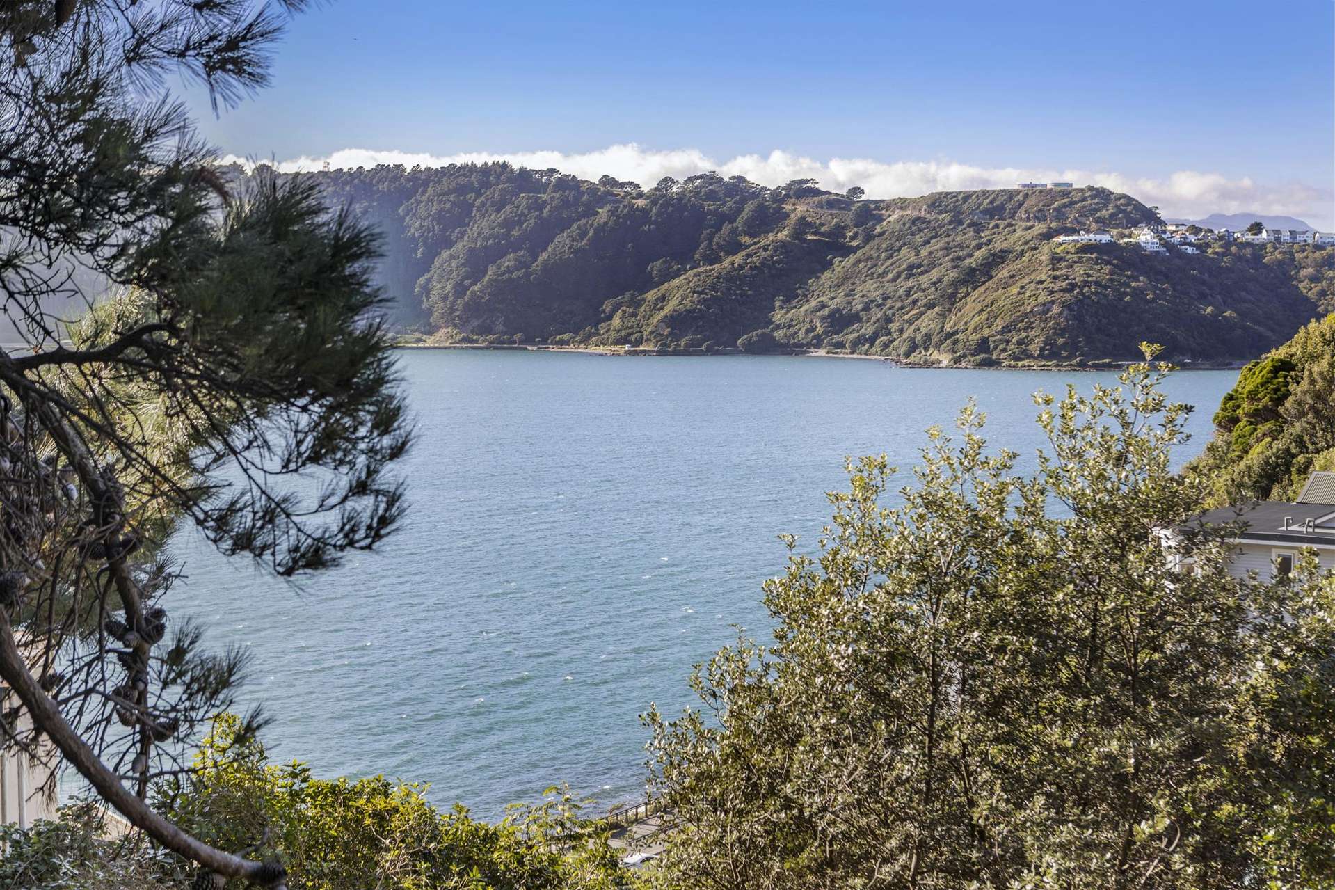 2/12 Te Anau Avenue Hataitai_0