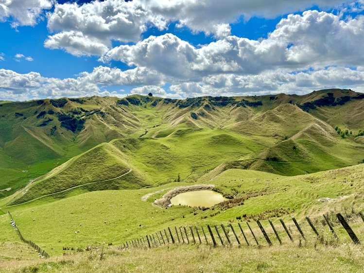 2559 Parapara Road, SH 4 Raetihi Ruapehu Rural Property For Sale