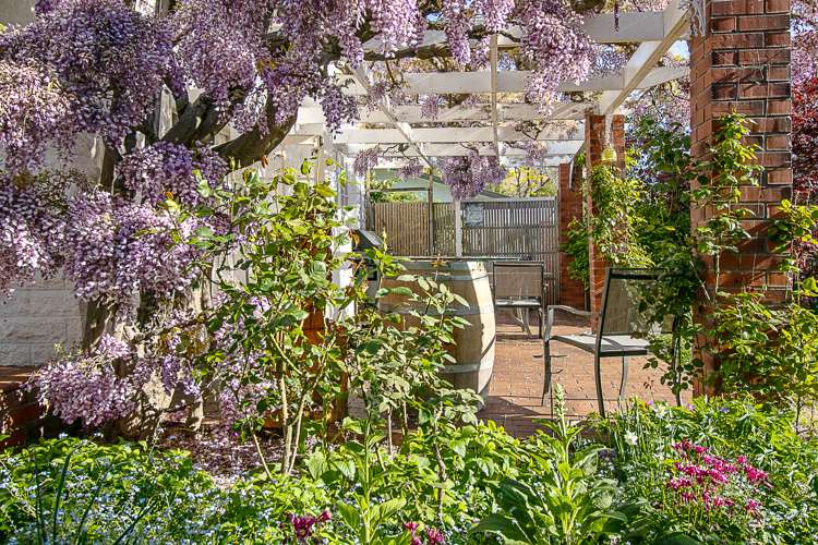 12a Hammond Place Witherlea_45