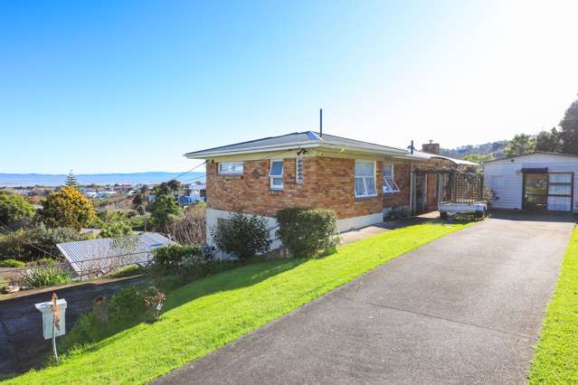 803 Richmond Street Thames_2