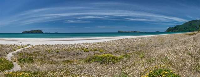 52 Jubilee Drive Pauanui_3