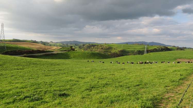 356 Whatauri Road Wharepapa South_21