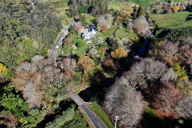 86 Old Highway Whakamarama_24