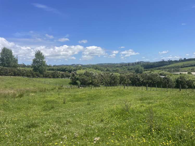 63 Follies Way Dairy Flat_6