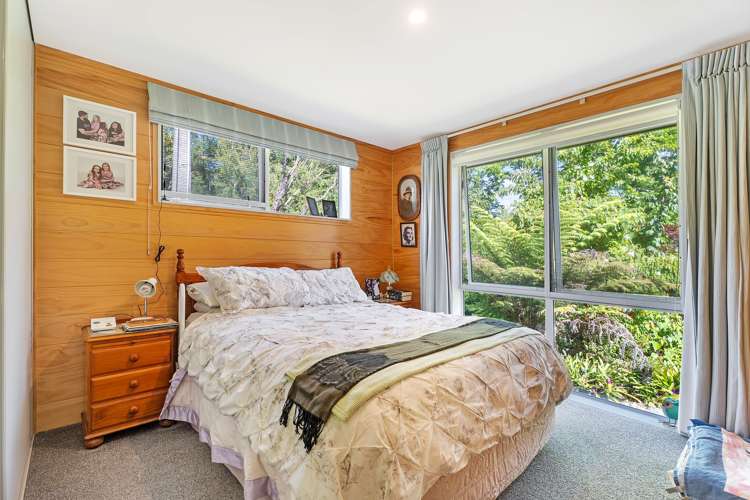 2926 SH25 Tairua Whitianga HWY Whitianga_25