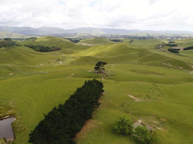 127 North Road Eketahuna_12