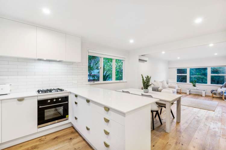 8 Daffodil Street Titirangi_11