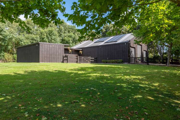 224b Bawden Road Dairy Flat_39