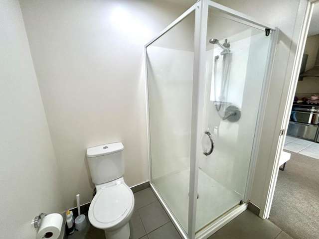 105/1193 Hinemoa Street 11068_3