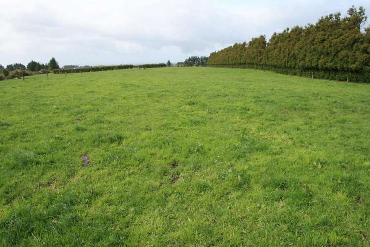 2105 Hastings Road Mahoe_6