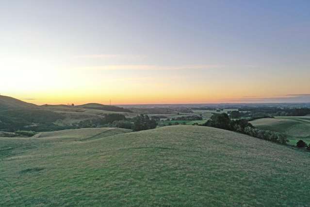 479 Kahuterawa Road Linton_4