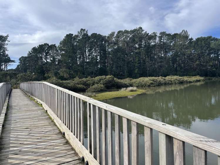 289E Opoutere Road Opoutere_37