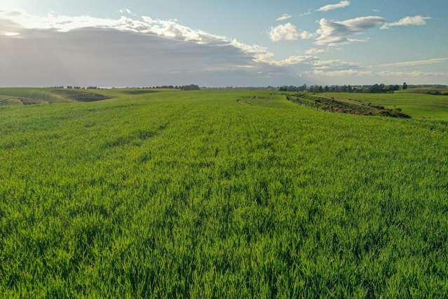 Lot 3 Hook School Road Makikihi_2