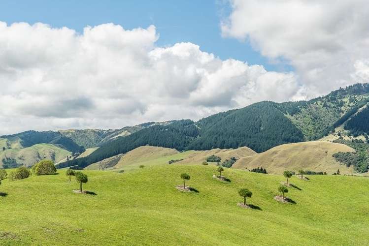 94 Raukawa Road Peka Peka_23