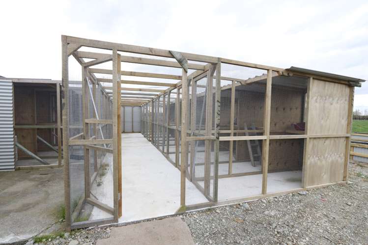 18 Thews Road Tinwald_14