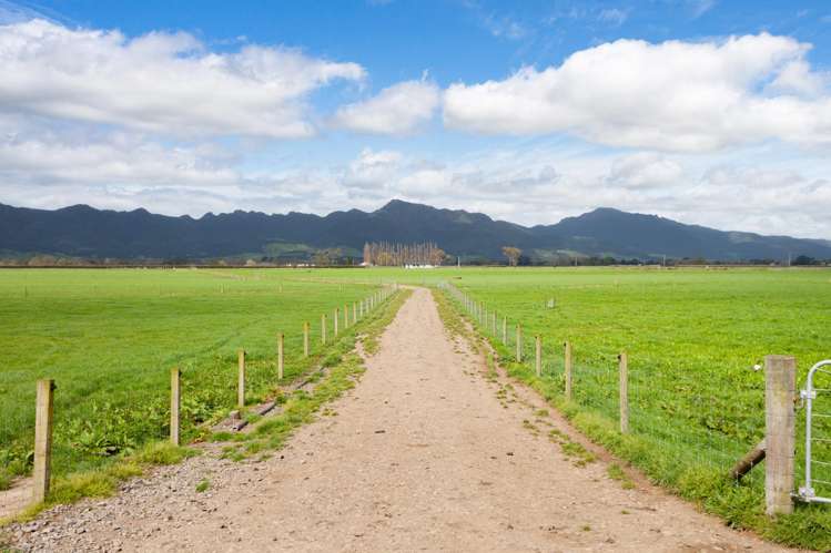 McKinley Road Te Aroha_37