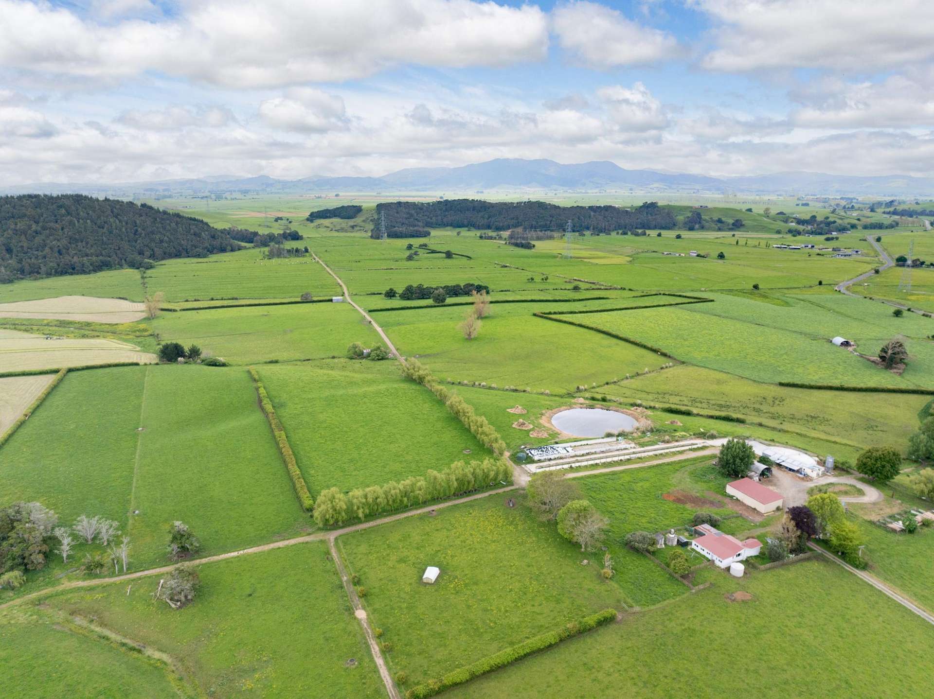 1266 Tauhei Road Morrinsville_0