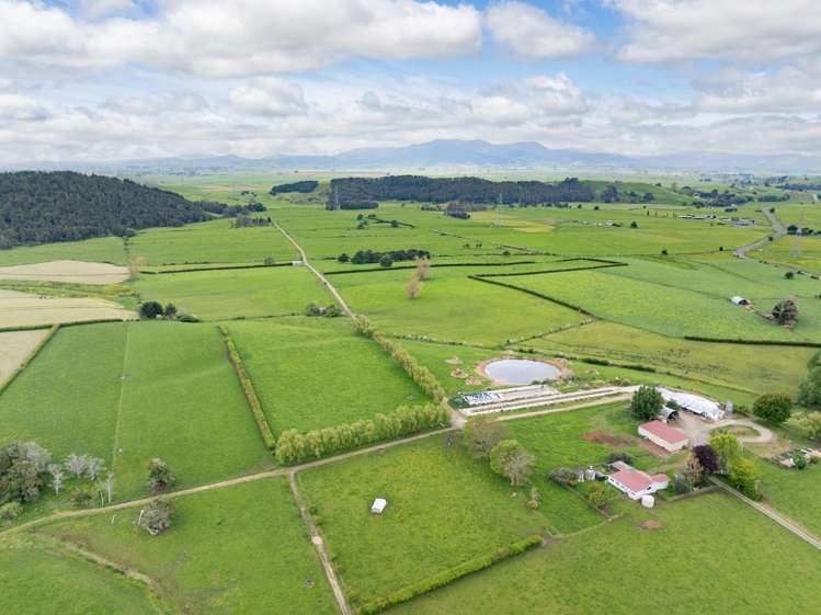 1266 Tauhei Road Morrinsville_2