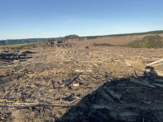 Taieri Beach Road Taieri Mouth_1