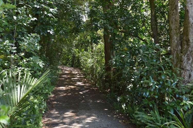 138 Puriri Park Road Maunu_12