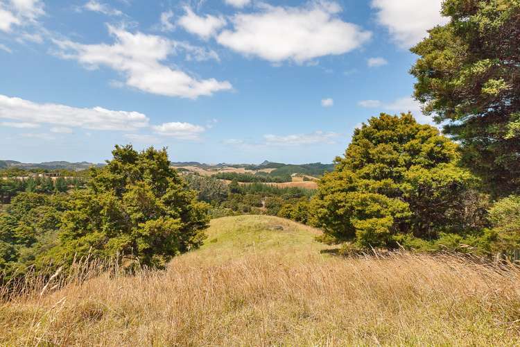 259a Taraunui Road Parua Bay_6