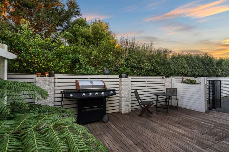 14 Van Dieman Close Templeton_18