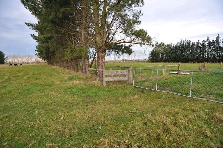 765 Main Drain Road Fernside_34