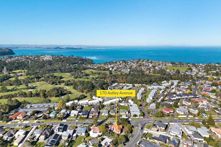 170 Astley Avenue New Lynn_20