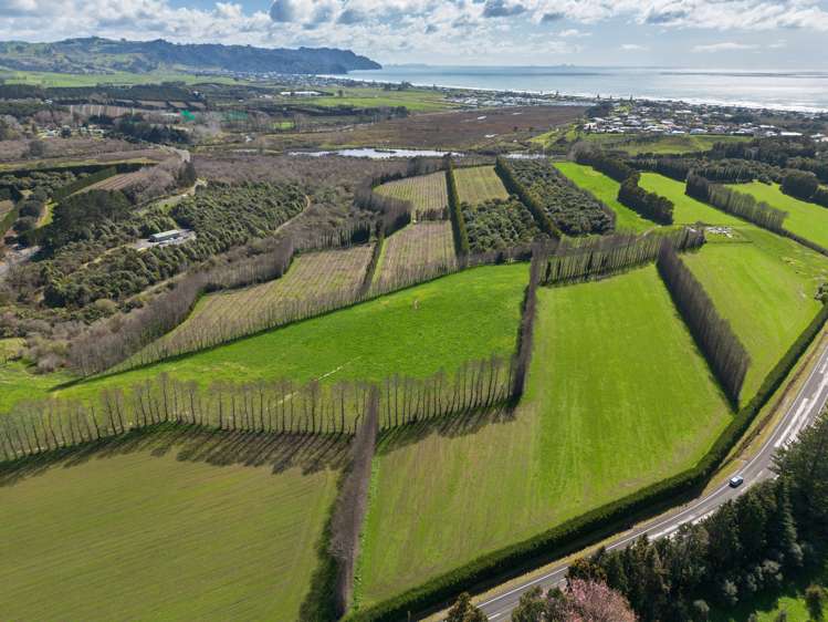 134a Athenree Road Athenree_3