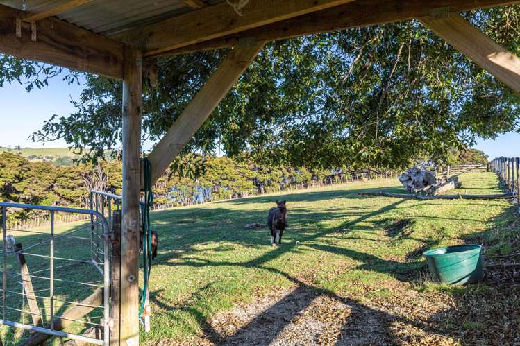 220 Whitmore Road Tawharanui Peninsula_16