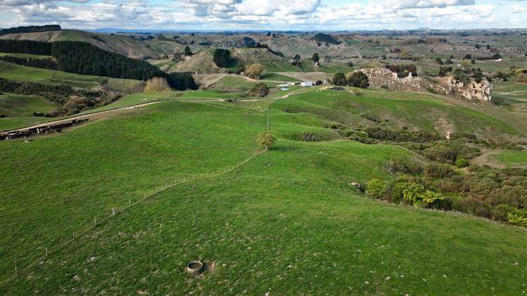 484 Newman Road Wharepuhunga_16