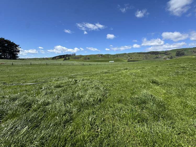 530 Mangatutu Rd RD3 Maihiihi_13